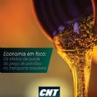 Economia Em Foco: Queda Do Preo Do Petr